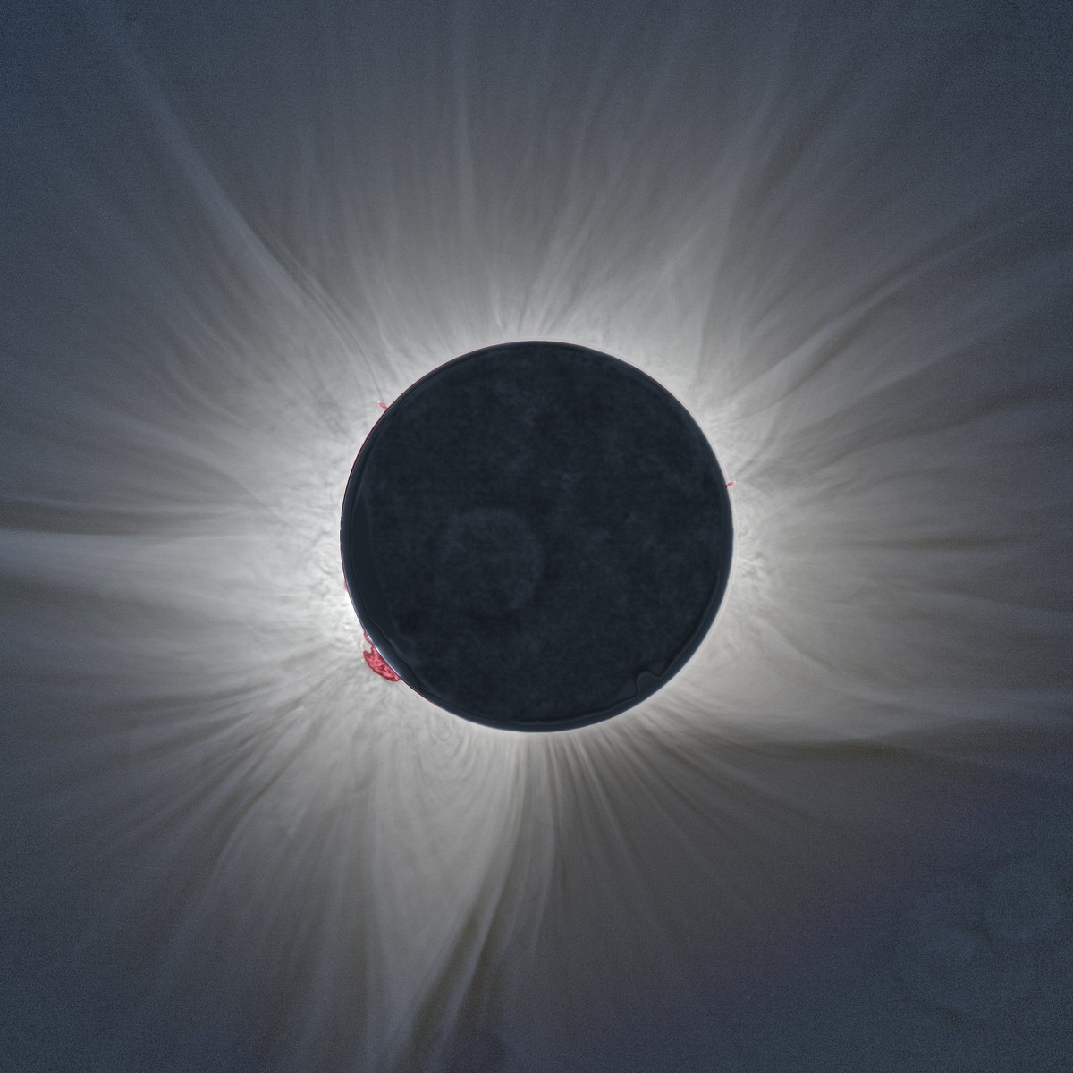 Close crop of the eclipsed Sun: the dark lunar disk lit by earthshine, crimson prominences at the limb, and fine coronal filaments radiating outward.